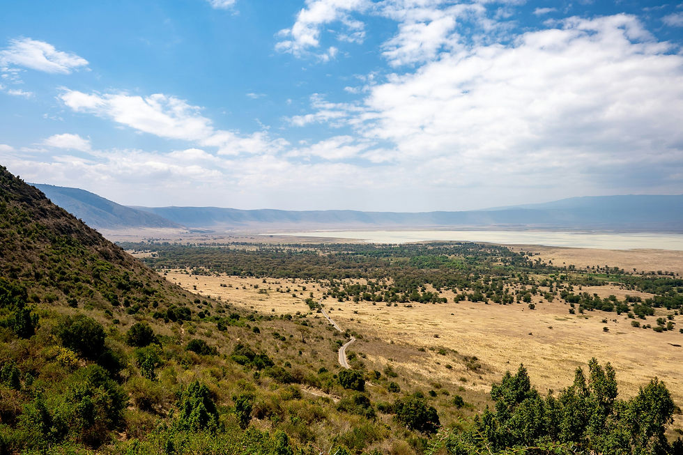Der Ngorongoro Krater