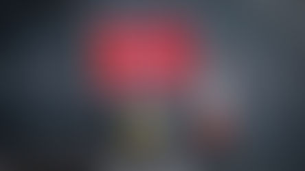 Road ahead closed sign