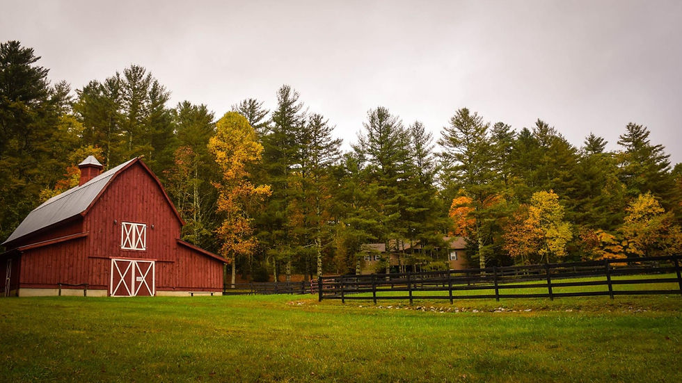 farm