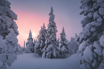 Image by Daniil Silantev