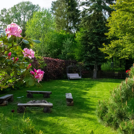Installer un paillage : pourquoi c’est indispensable avant l’été ?