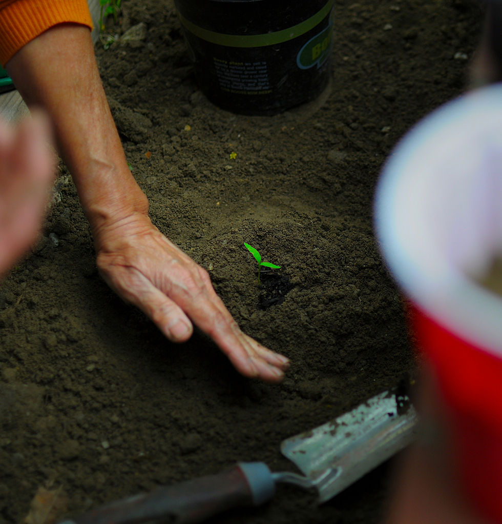 Community Planting Event