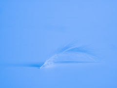 Respiração focada no coração e percepções de sobrecarga em cuidadores de Alzheimer