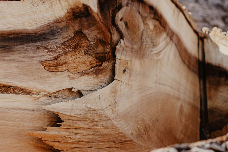 Image de René Porter