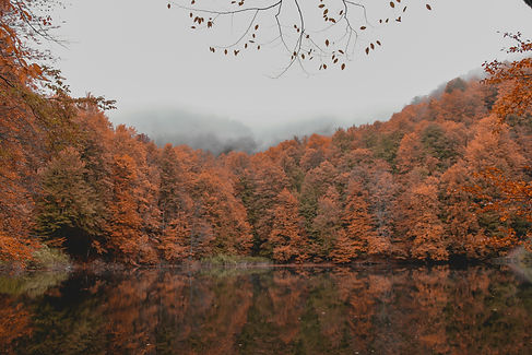 Image by fuad ismayilov