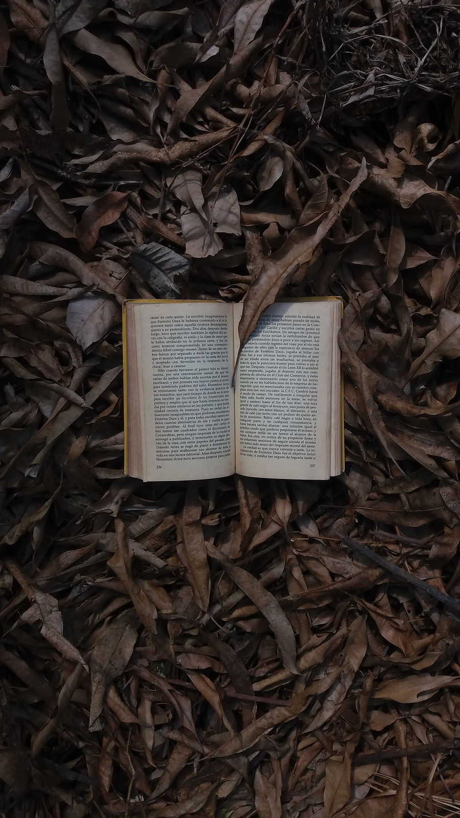 Image by maria paula contreras