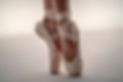 Image by Nihal Demirci Erenay