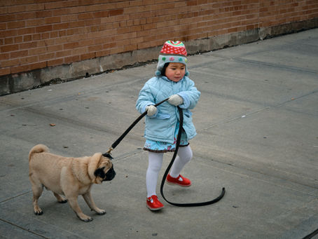 3 ways your subconscious is like a stubborn dog