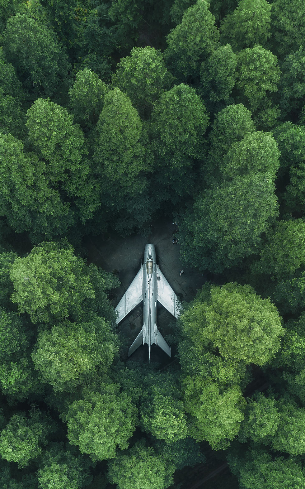 Un avion perdu dans la forêt