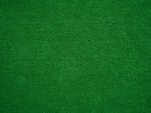 Grüne Ortsverband Wietze dehnt sein Gebiet auf die Gemeinde Hambühren aus