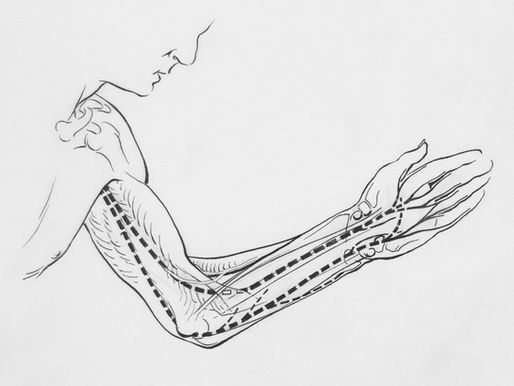 meridianos e yin yoga