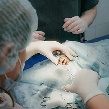 Image by Anya Prygunova