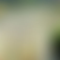  Nur (svijetlo) vjernika!