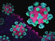 Cancer drug reduces HIV virus damage to brain: Study