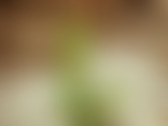 Beetle: Building Value Chain Resilience Through Principled Investment