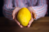 Image by Ali Zolghadr