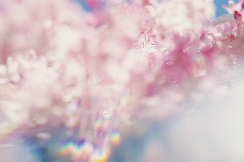 Image by Eleni Trapp