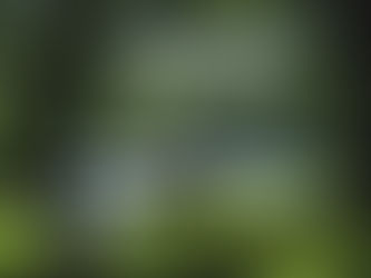 Jane Austen Pt 3: 1995 or 2005?