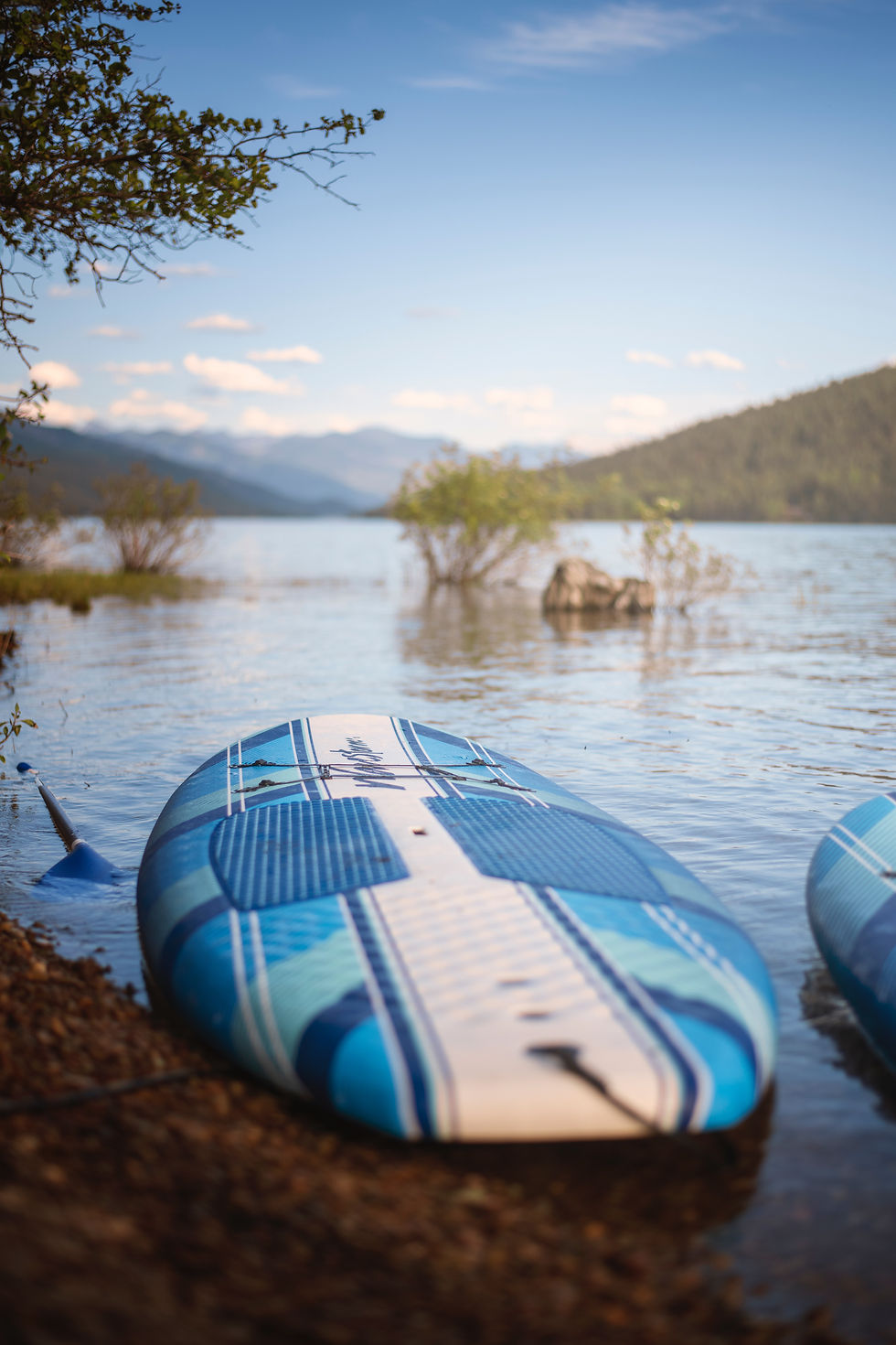 Stand-Up Paddle Boards
