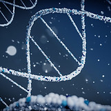 DNA double helix