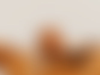 コリント人への第二の手紙12章10節