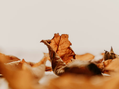 コリント人への第二の手紙12章10節