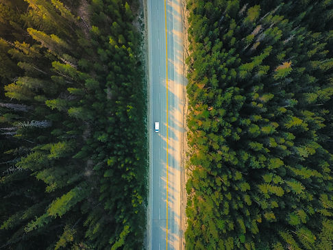 Image by Birk Enwald