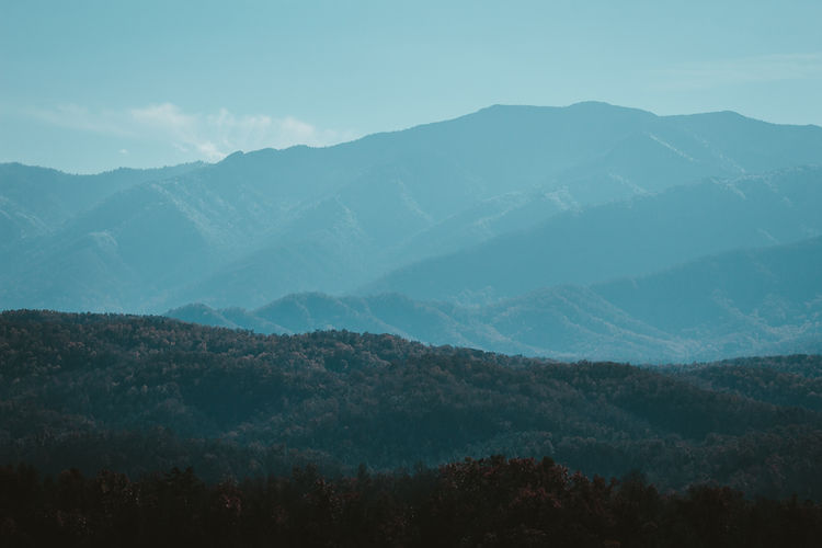 Image by Sean Foster
