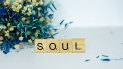 What's a soul worth?