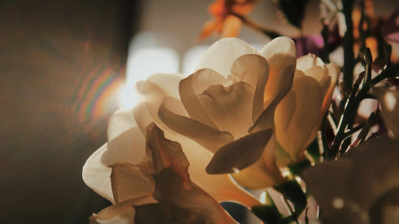 Image by Larisa Runova
