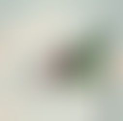 Algeria: nuove scoperte petrolifere