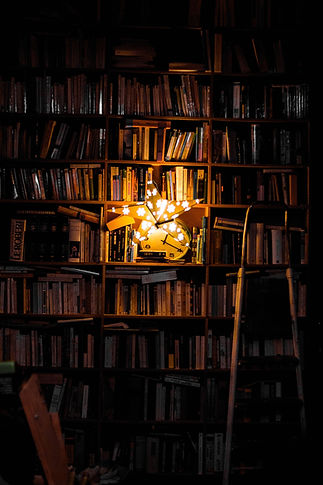 Image by Valentin Antonini