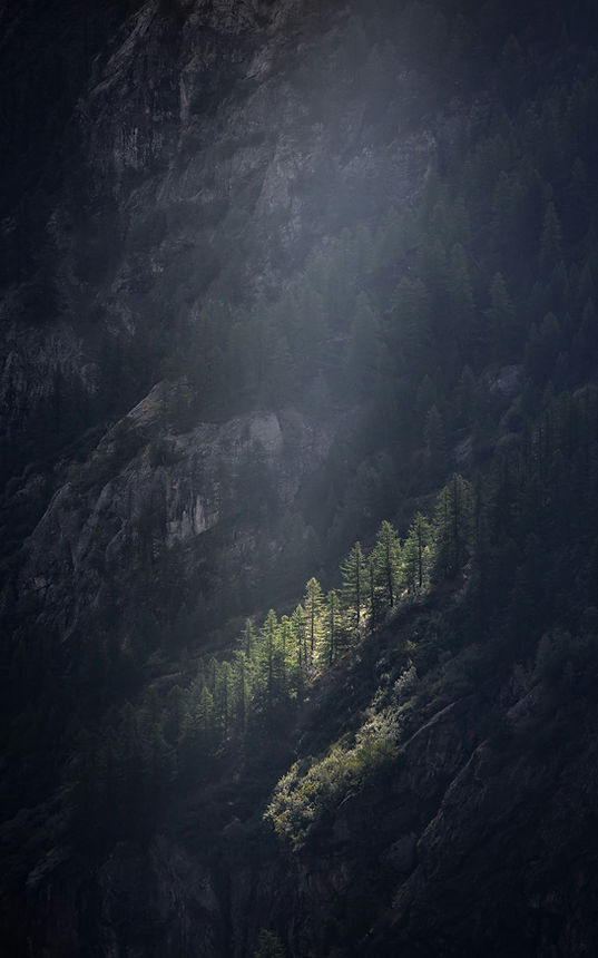 Image by Marek Piwnicki