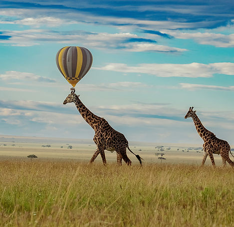 hot air Balloon in the Serengeti