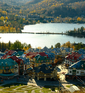 Image by Naz Israyelyan