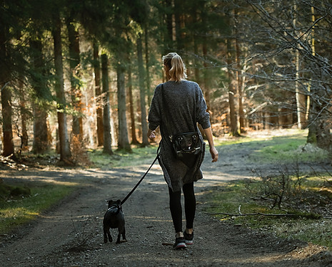 Image by Martin Dalsgaard