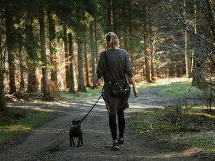 walking in forest