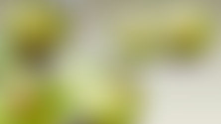 AI at the End of 2025: The Line Between Progress and Overreach