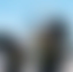 how to move to south africa with pets