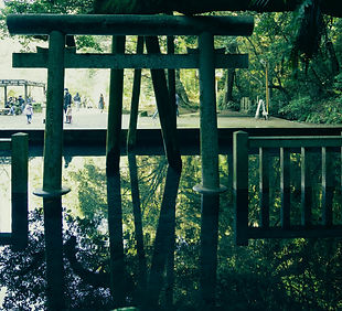 Image by ayumi kubo