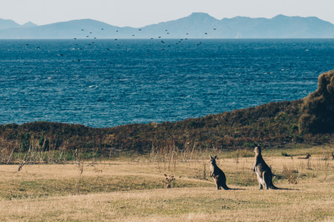 Tasmanie, Australie