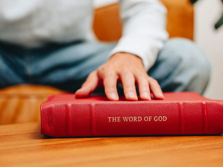 The Word Lights Your Next Step