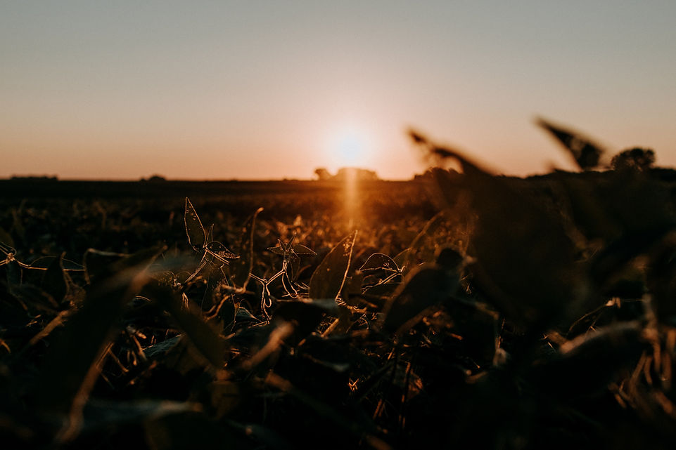 Image by Kelly Sikkema