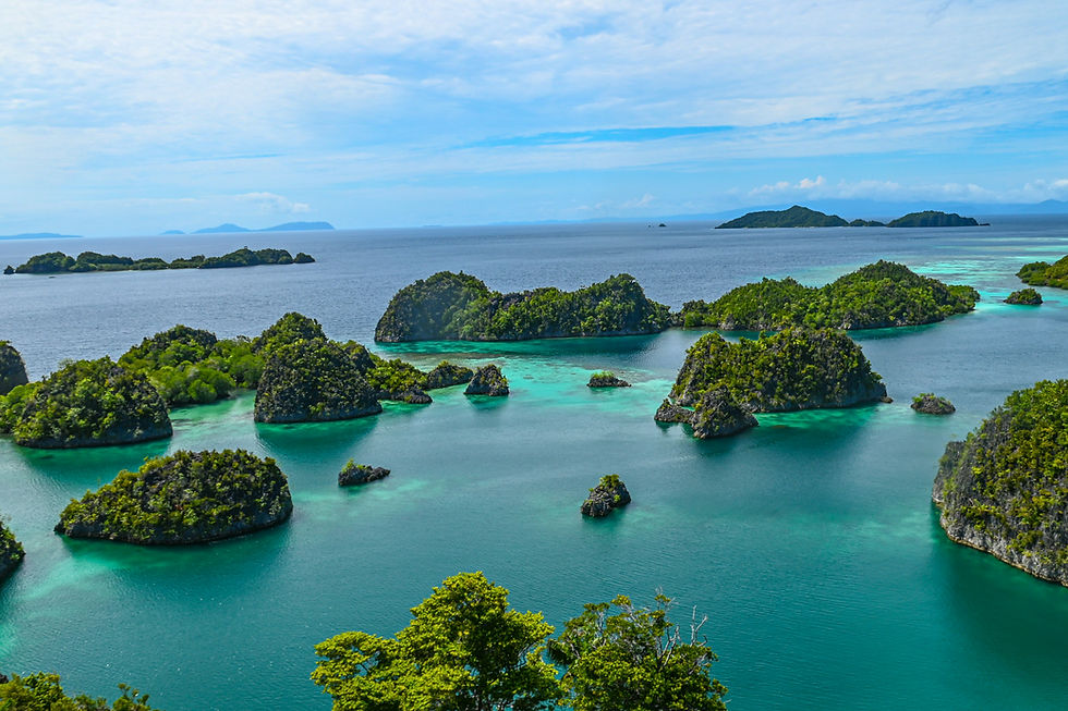 Indonesia Kudo Lifestyle Travel