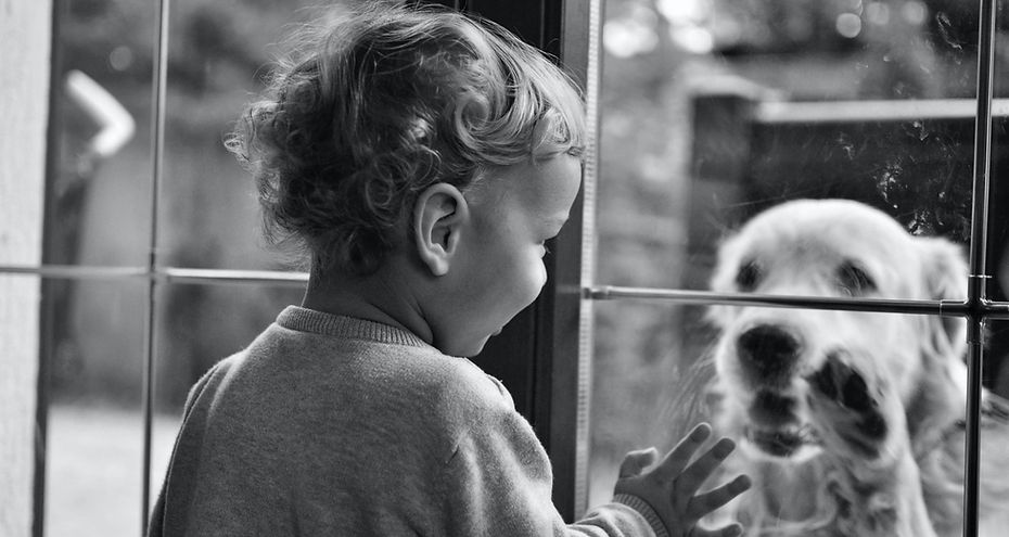 Child bonding with family pet at home with nanny support