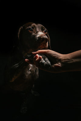 Image by Fabian Gieske