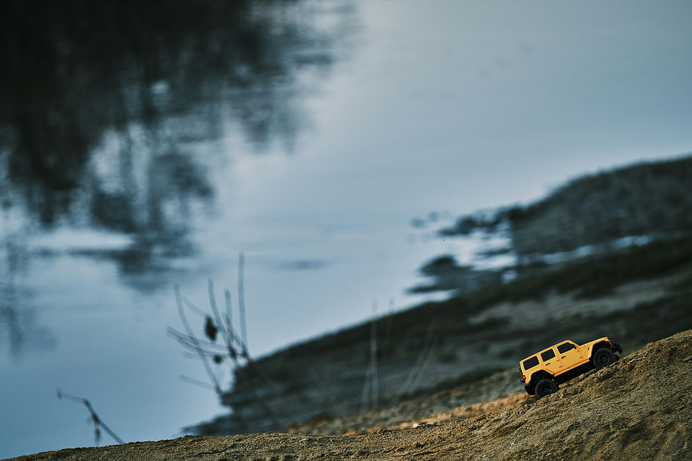 Image by Luca Beani