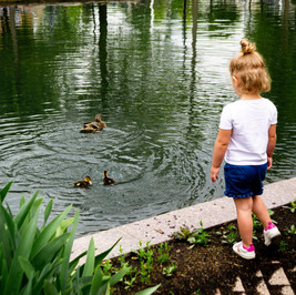 Image by Ellery Sterling