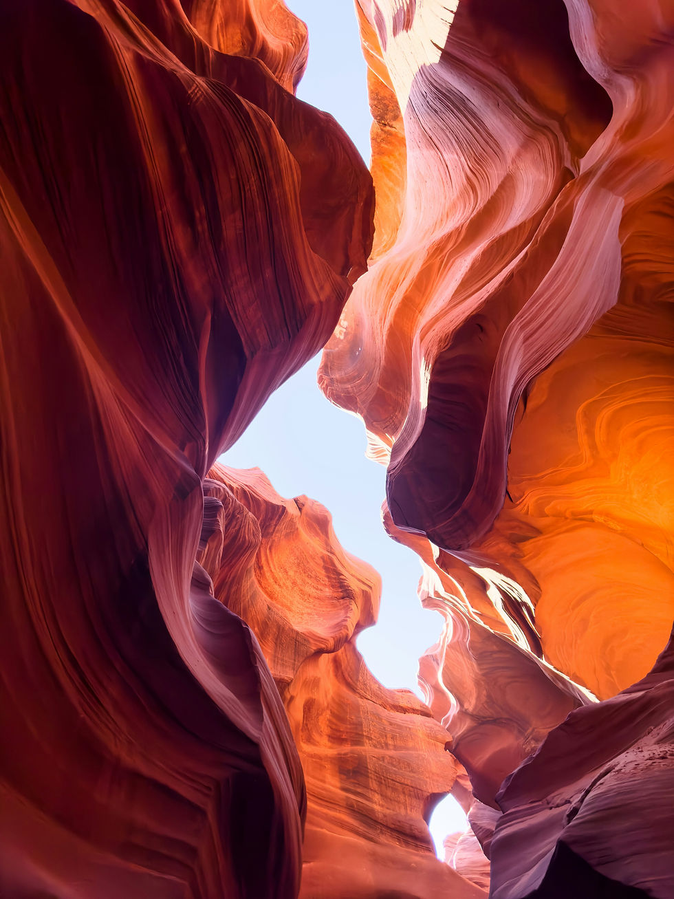 Image by Tom Donders