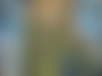 NWCN E-bulletin: Community jobs, funding and opportunities